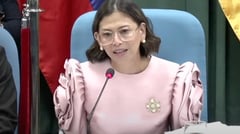 Probe Stella Quimbo, Magalong prods ICI